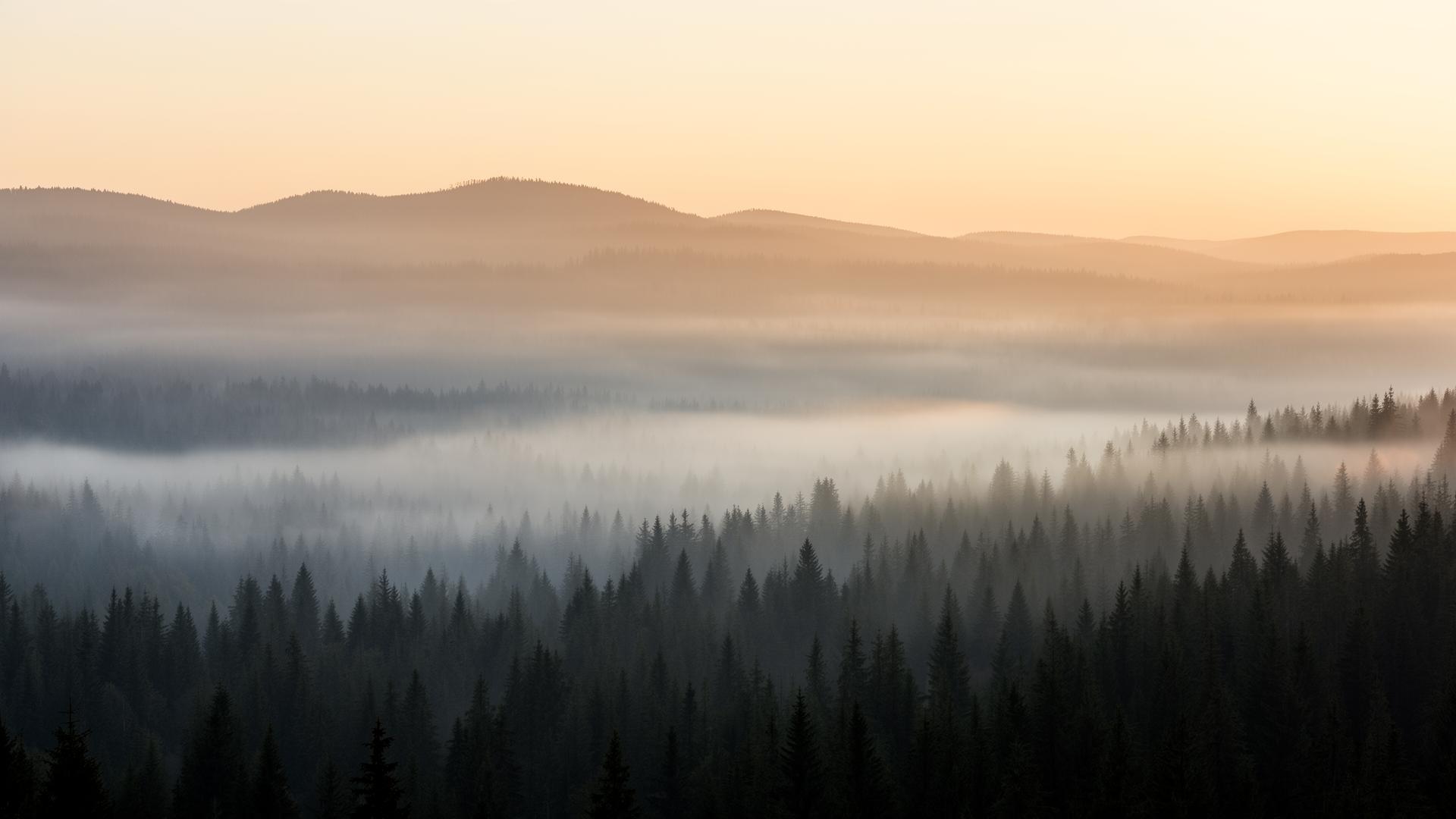 Zlatibor